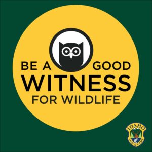 witness logo